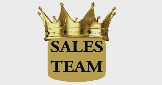 Sales Management Training Program - Process Orientation